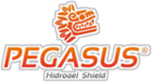 Pegasus